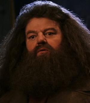 [Image: dangermousse_hagrid.jpg]